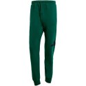 Spodnie adidas Essentials Big Logo French Terry M JE8971 Adidas