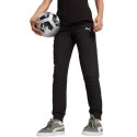 Spodnie Puma Team Goal Casuals W 658604 03 Puma