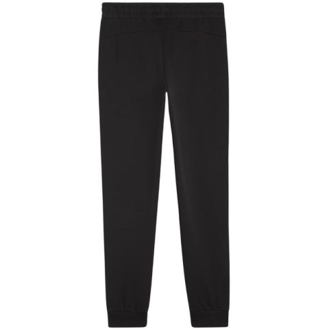 Spodnie Puma Team Goal Casuals W 658604 03 Puma