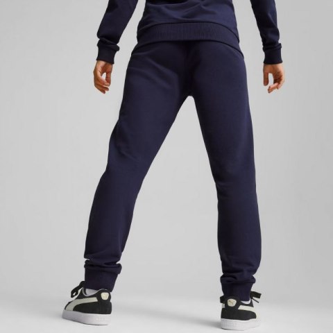 Spodnie Puma Team Goal Casuals W 658604 06 Puma