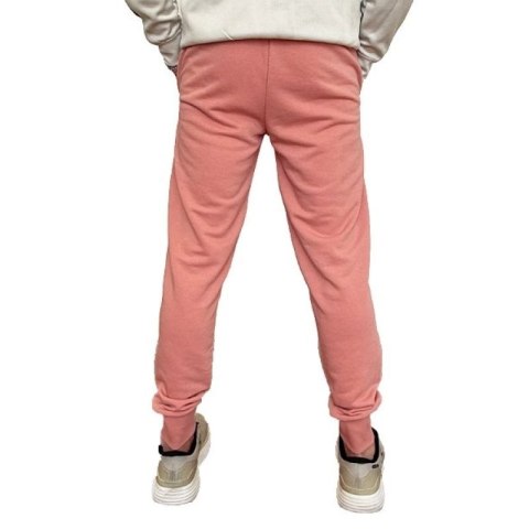 Spodnie Puma Ess+ 2 Col Logo M 586768 62 Puma