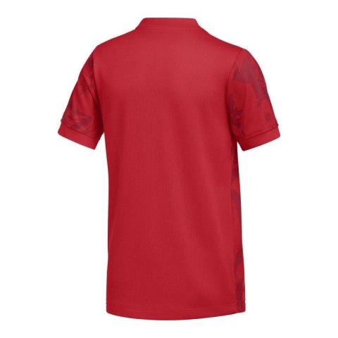 Koszulka Nike Dri-Fit Precision VII FZ9332-100 Nike