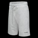 Męskie Spodenki ICHIRO SHORTS Iguana