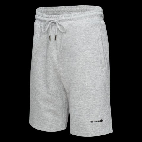 Męskie Spodenki ICHIRO SHORTS Iguana
