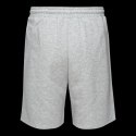 Męskie Spodenki ICHIRO SHORTS Iguana