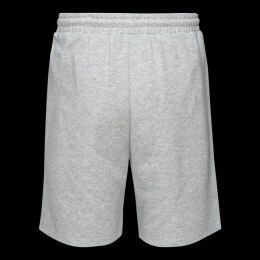 Męskie Spodenki ICHIRO SHORTS Iguana