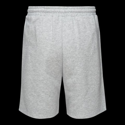 Męskie Spodenki ICHIRO SHORTS Iguana