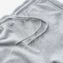 Męskie Spodenki ICHIRO SHORTS Iguana