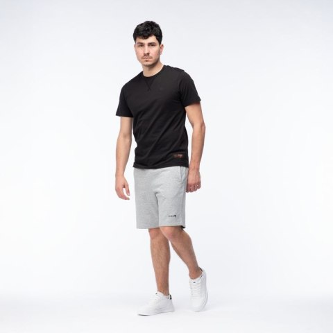 Męskie Spodenki ICHIRO SHORTS Iguana