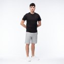 Męskie Spodenki ICHIRO SHORTS Iguana