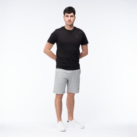 Męskie Spodenki ICHIRO SHORTS Iguana
