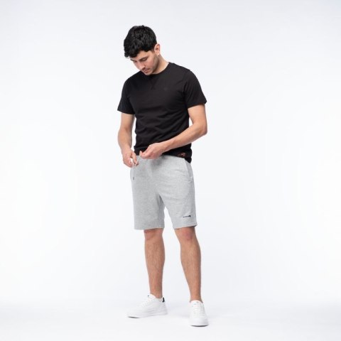 Męskie Spodenki ICHIRO SHORTS Iguana