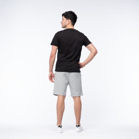 Męskie Spodenki ICHIRO SHORTS Iguana