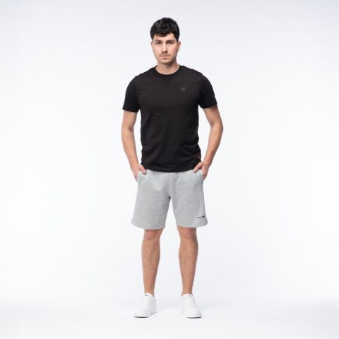 Męskie Spodenki ICHIRO SHORTS Iguana