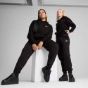 Spodnie Puma ESS Small No. 1 Logo W 682448 01 Puma