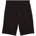Spodenki Puma Ess 2 Color No. 1 Logo M 684715 01 Puma