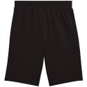 Spodenki Puma Ess 2 Color No. 1 Logo M 684715 01 Puma