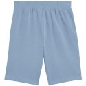 Spodenki Puma Ess 2 Color No. 1 Logo M 684715 34 Puma
