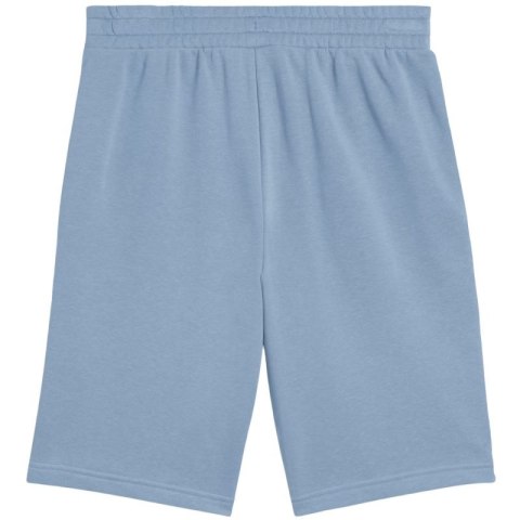 Spodenki Puma Ess 2 Color No. 1 Logo M 684715 34 Puma