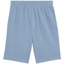 Spodenki Puma Ess 2 Color No. 1 Logo M 684715 34 Puma