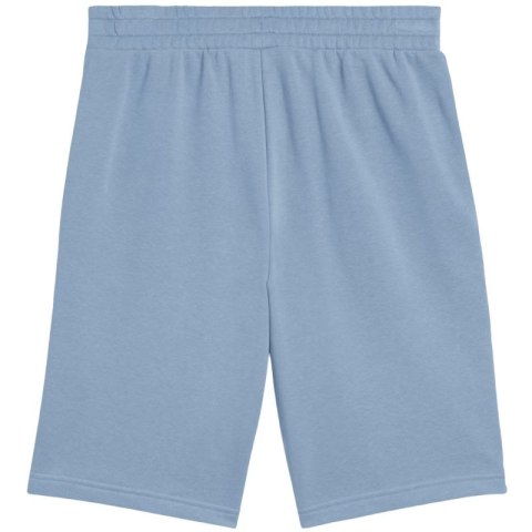 Spodenki Puma Ess 2 Color No. 1 Logo M 684715 34 Puma