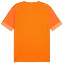 Koszulka Puma teamGoal Matchday Jersey M 705747 08 Puma