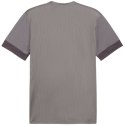 Koszulka Puma teamGoal Matchday Jersey M 705747 13 Puma