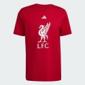 Koszulka adidas Liverpool LFC DNA JW7894 Adidas