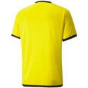 Koszulka Puma teamLIGA Jersey M 704917 07 Puma