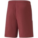 Spodenki Puma teamLIGA M 704924 09 Puma