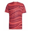 Koszulka adidas Club Graph Tee M JE0407 Adidas