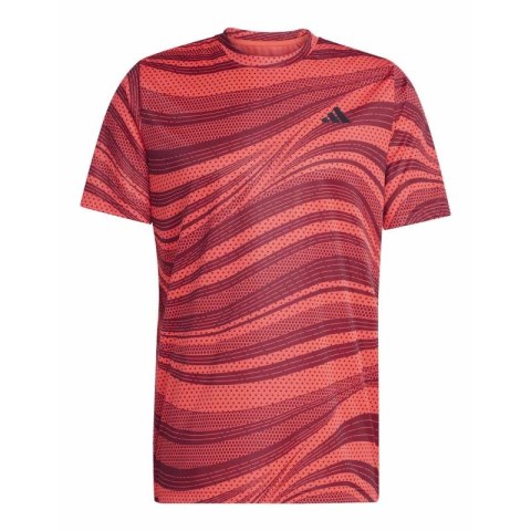 Koszulka adidas Club Graph Tee M JE0407 Adidas