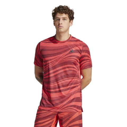 Koszulka adidas Club Graph Tee M JE0407 Adidas
