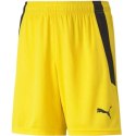 Spodenki Puma teamLIGA Shorts Jr 704931 07 Puma