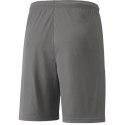 Spodenki Puma teamLIGA Shorts Jr 704931 13 Puma