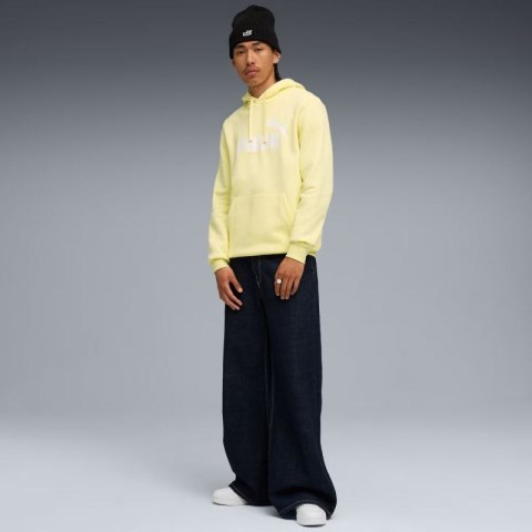 Bluza Puma ESS No.1 Logo Hoodie FL M 682571 35 Puma