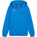 Bluza Puma teamGoal Casuals Hooded Jr 658596 02 Puma