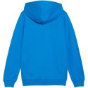 Bluza Puma teamGoal Casuals Hooded Jr 658596 02 Puma