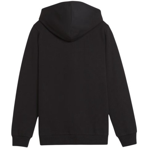 Bluza Puma teamGoal Casuals Hooded Jr 658596 03 Puma