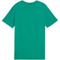 Koszulka Puma Team Goal Casuals Tee Jr 658616 05 Puma
