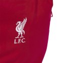 Plecak adidas Liverpool FC Backpack JZ5881 Adidas