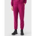 Spodnie dresowe joggery damskie 4F 4FWMM00TTROF1137-51S 4f