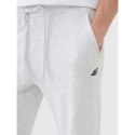 Spodnie dresowe joggery męskie 4F 4FWMM00TTROM1139-27M 4f