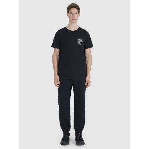T-shirt regular z nadrukiem męski 4F 4FWSS25TTSHM1980-20S 4f
