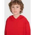 Bluza 4F JUNIOR 4FJRAW25TSWSM2490-62S 4f