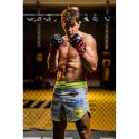 Rękawice MMAM - Flow - Valor Series DBX Bushido