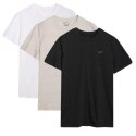 T-shirt męski (ZESTAW KOSZULEK 3 SZT.) 4F 3P-SS-4FWMM00TTSHM2256-91S 3PAK 4f