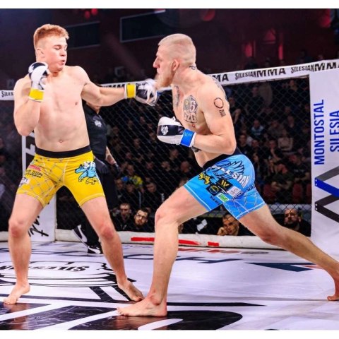 Rękawice MMAsparingowe S/M - Edge - Valor Series DBX Bushido