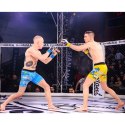Rękawice MMAsparingowe S/M - Undefeated - Valor Series DBX Bushido