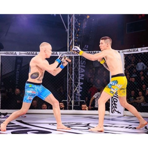 Rękawice MMAsparingowe S/M - Undefeated - Valor Series DBX Bushido